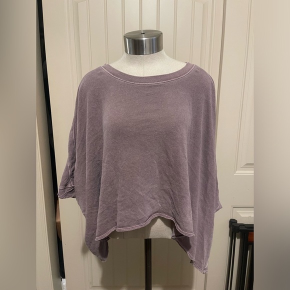 We The Free Tops - Free People Mauve Crop Top